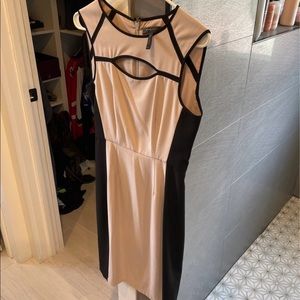 BCBGMaxazaria Dress